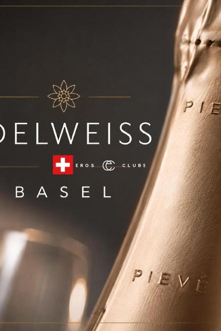 Edelweiss / Sugarbabes Basel Edelweiss / Sugarbabes Basel Basel City