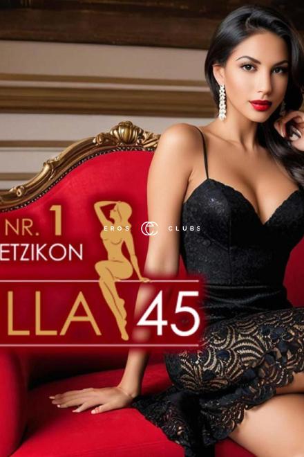 Villa 45 Villa 45 Zurich Area