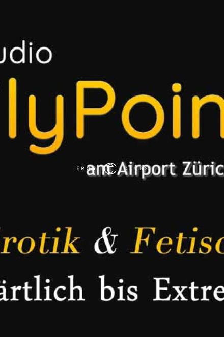 Flypoint Flypoint Zurich Area