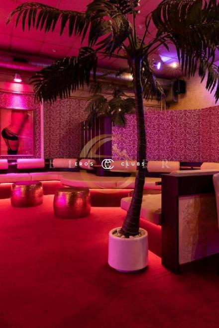 Elixier Elixier Zurich Area