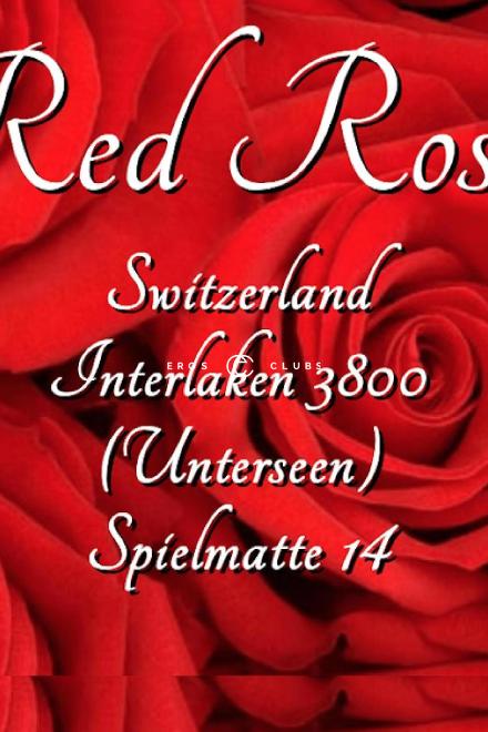Red Roses 1. OG Red Roses 1. OG Bern Umgebung