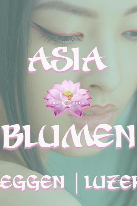 Asia Blumen Asia Blumen St.Gall