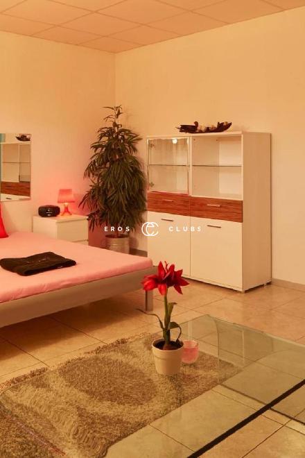 BLACK ROSES BLACK ROSES Bern City