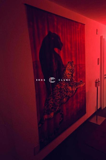 Studio Sunneschi Studio Sunneschi Zurich City