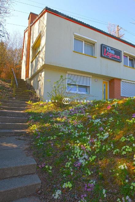 Club Leguan Club Leguan Schaffhausen