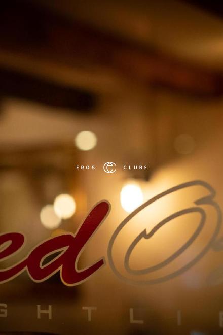 Red OX Red OX Bern Umgebung