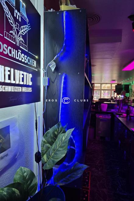 New Grotto New Grotto Basel City