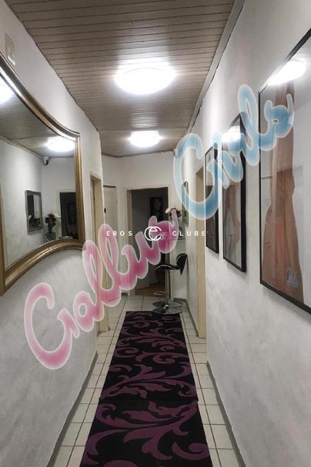 Gallus Girls Gallus Girls St.Gall