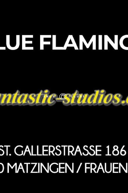 Blue Flamingo Blue Flamingo Thurgau