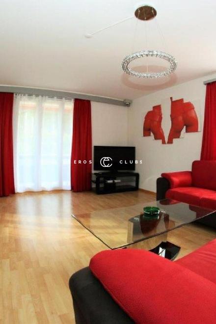 Bunny House Bunny House Solothurn