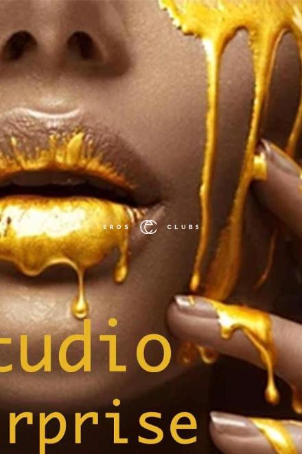 Studio SURPRISE Studio SURPRISE Bern City