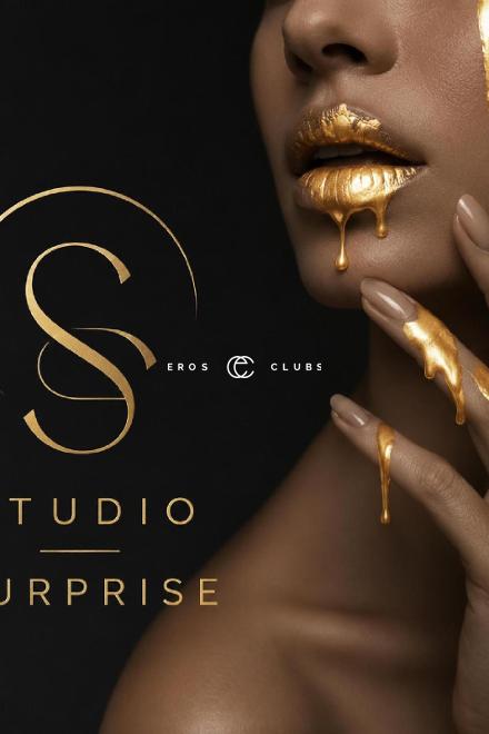 Studio SURPRISE Studio SURPRISE Bern City