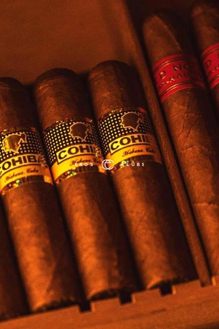 Medusa Medusa Zurich City