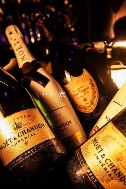 Medusa Medusa Zurich City