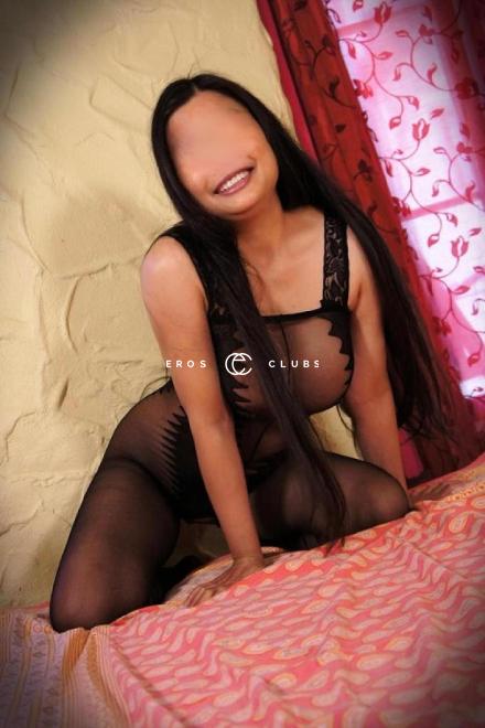 PIM  Thai Schmusekatze  Schweiz, Biel/Bienne - Grenchen